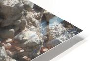 IMG 3329 HD Metal print