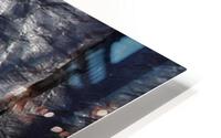 IMG 3476 HD Metal print