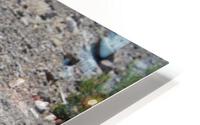 IMG 3561 HD Metal print