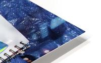IMG 3526 HD Metal print