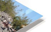 IMG 3577 HD Metal print