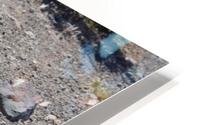 IMG 3562 HD Metal print