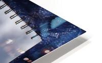 IMG 3540 HD Metal print
