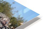 IMG 3578 HD Metal print