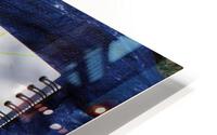 IMG 3533 HD Metal print