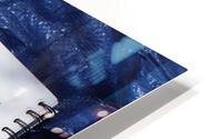 IMG 3530 HD Metal print