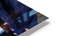 IMG 3510 HD Metal print