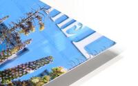IMG 3606 HD Metal print