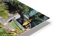 IMG 3676 HD Metal print