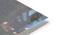 IMG 3665 HD Metal print