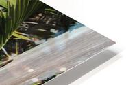 IMG 3679 HD Metal print