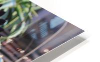 IMG 3687 HD Metal print
