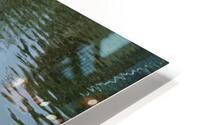 IMG 3669 HD Metal print