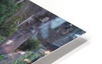 IMG 3747 HD Metal print
