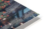 IMG 3734 HD Metal print