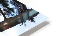 IMG 3770 HD Metal print