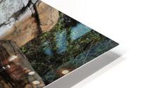 IMG 3799 HD Metal print