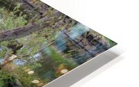IMG 3773 HD Metal print