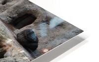 IMG 3764 HD Metal print