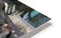 IMG 3763 HD Metal print