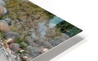 IMG 3757 HD Metal print