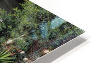 IMG 3814 HD Metal print