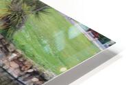 IMG 3827 HD Metal print