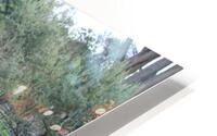 IMG 3886 HD Metal print