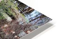 IMG 3817 HD Metal print