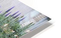 IMG 3838 HD Metal print