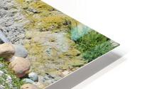 IMG 3835 HD Metal print