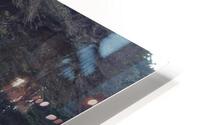 IMG 3867 HD Metal print