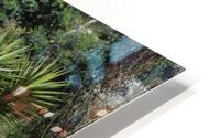 IMG 3812 HD Metal print