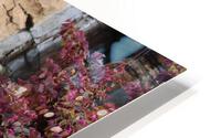 IMG 3809 HD Metal print