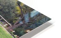 IMG 3825 HD Metal print