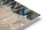 IMG 3879 HD Metal print