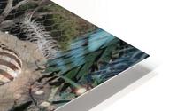 IMG 3882 HD Metal print