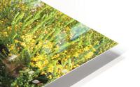 IMG 3850 HD Metal print