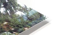 IMG 3914 HD Metal print