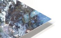 IMG 3912 HD Metal print