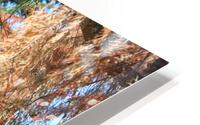 IMG 3955 HD Metal print