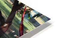 IMG 3987 HD Metal print