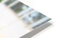 IMG 4232 HD Metal print