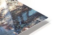 IMG 4306 HD Metal print
