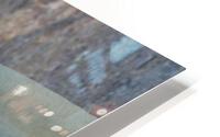 IMG 4356 HD Metal print