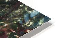 IMG 4339 HD Metal print