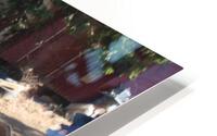 IMG 4347 HD Metal print