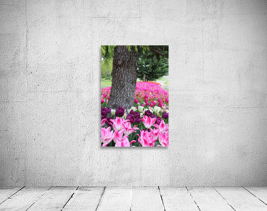IMG 1359 Wall Preview