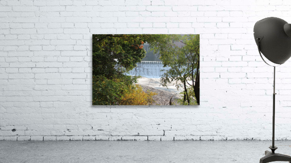IMG 2312 Wall Preview
