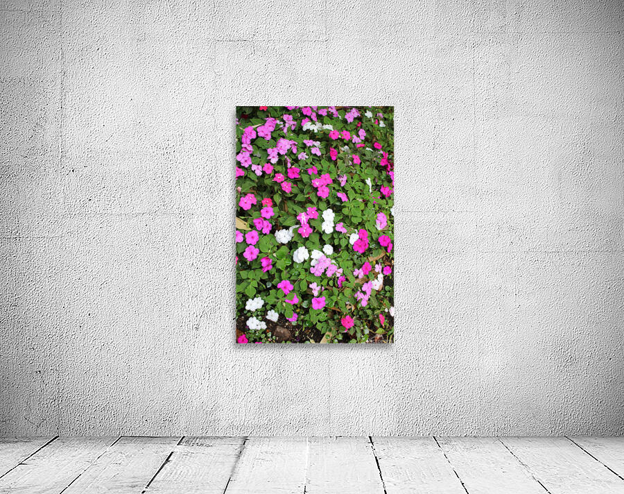 IMG 2648 Wall Preview